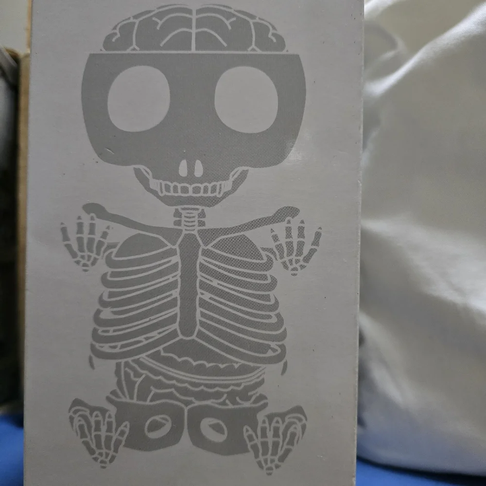 4D Master Gummi Bear Anatomy - Picture 3 of 4